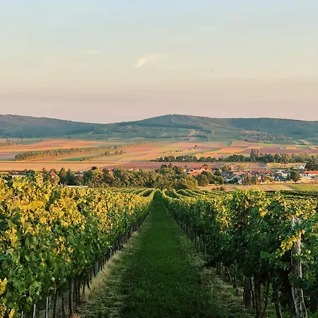 Schoenhof Im Weinviertel *