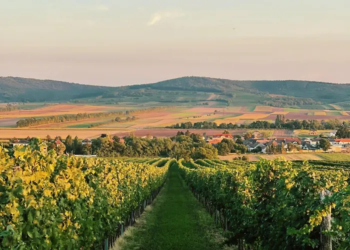 Schoenhof Im Weinviertel *